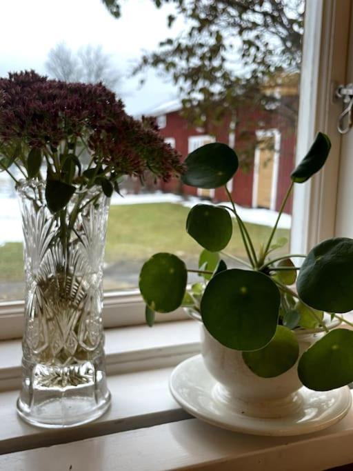 Gamla Ersgarden I Ersmark 于默奧 外观 照片